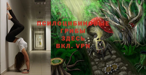 ешки Балахна