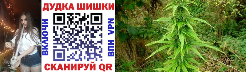 Каннабис конопля  Малая Вишера 